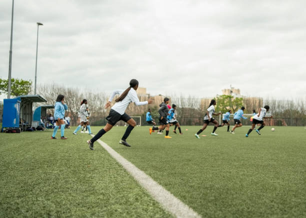 当感到威胁 当感到威胁