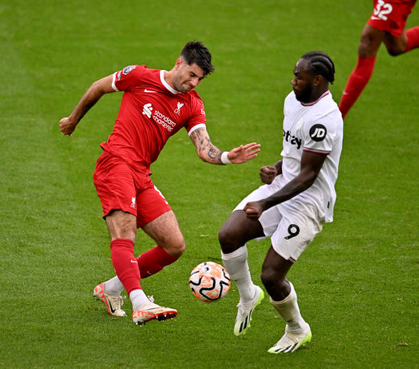 的多样解读 的多样解读